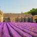 Provence Gallery